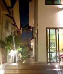 Braddell Heights Estate (D13), Detached #467805891